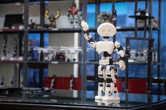 Humanoid robot performing a physical task