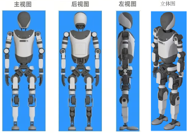 BYD humanoid robot joint layout from the granted design patent